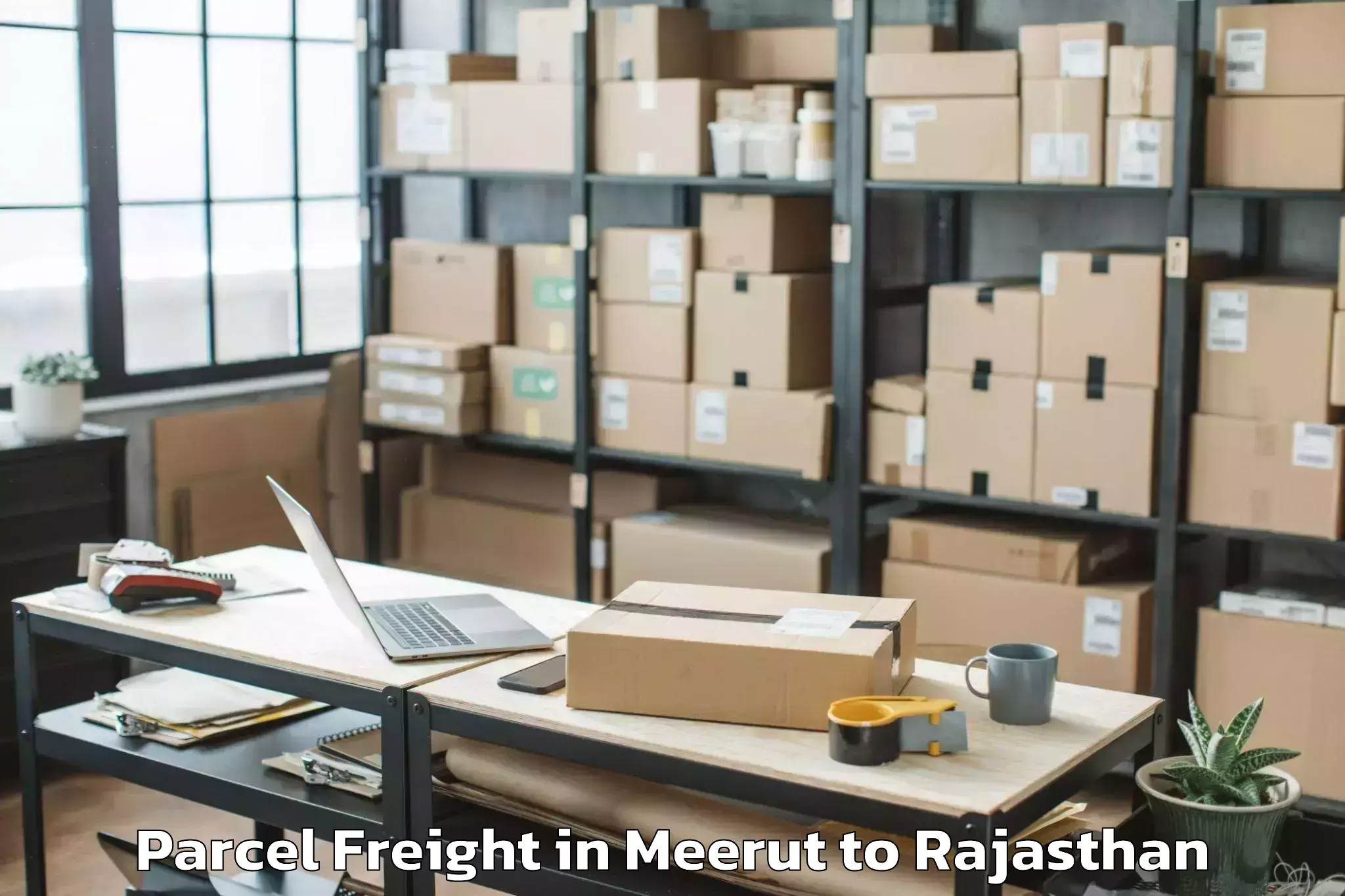 Affordable Meerut to Vallabhnagar Parcel Freight